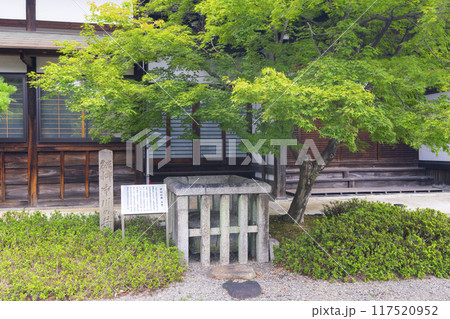 夏の京都　妙満寺　中川の井 117520952