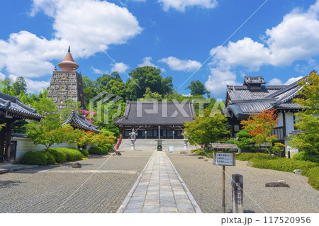 夏の京都　妙満寺　本堂 117520956