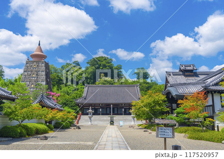 夏の京都 妙満寺 本堂 夏の京都 妙満寺 本堂 117520957