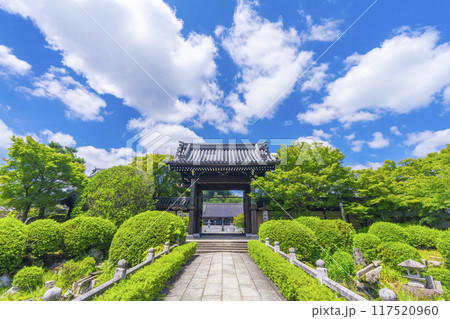 夏の京都　妙満寺　参道と山門 117520960