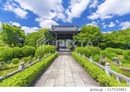 夏の京都　妙満寺　参道と山門 117520961