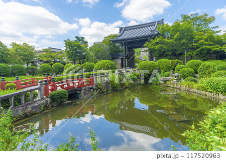 夏の京都　妙満寺　参道と山門 117520963