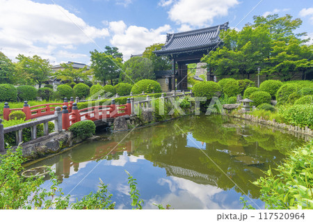 夏の京都 妙満寺 参道と山門 夏の京都 妙満寺 参道と山門 117520964