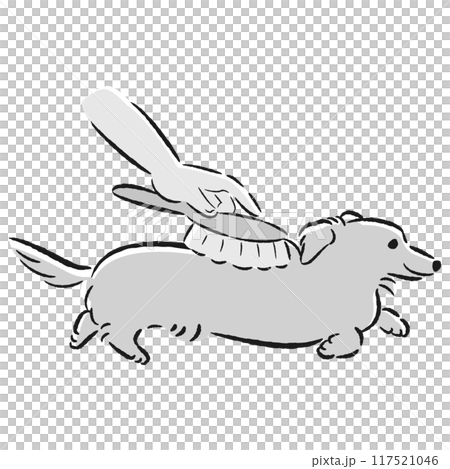 給狗狗刷毛的插圖 117521046