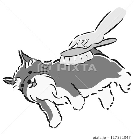 犬をブラッシングするイラスト 117521047