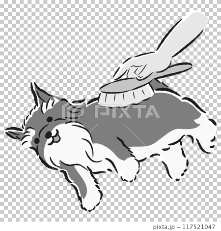犬をブラッシングするイラスト 117521047