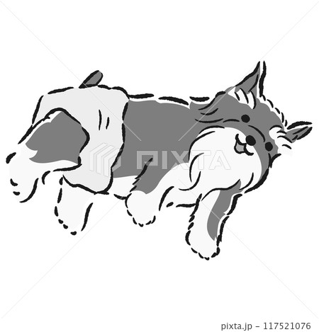 おむつを着用する犬の手描きイラスト 117521076