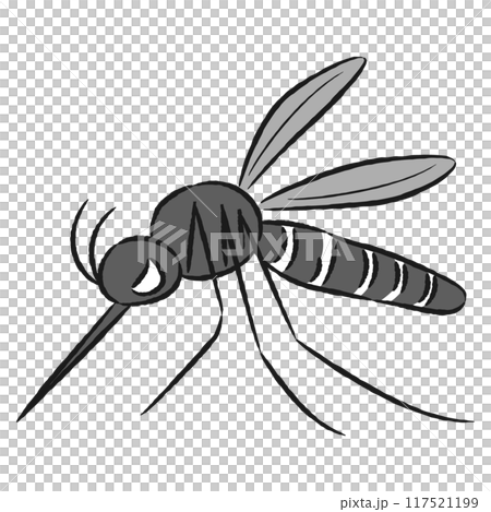 簡單的蚊子圖 117521199