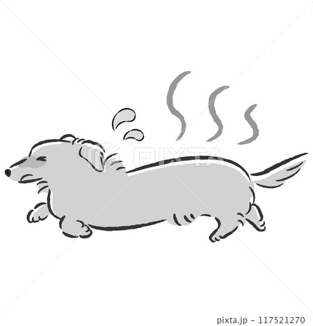 暑くて困った表情の犬のイラスト 117521270