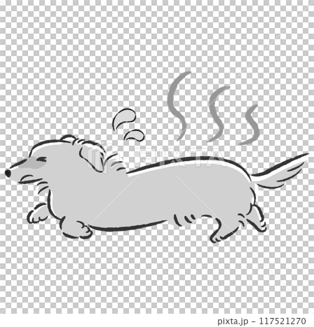 暑くて困った表情の犬のイラスト 117521270