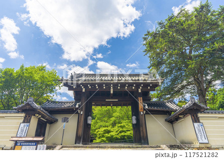 夏の京都岩倉　実相院　青紅葉と山門 117521282