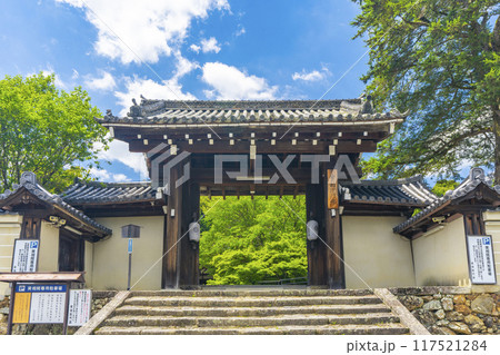 夏の京都岩倉　実相院　青紅葉と山門 117521284