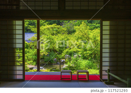 夏の京都岩倉　実相院　青紅葉に包まれた山水庭園 117521293