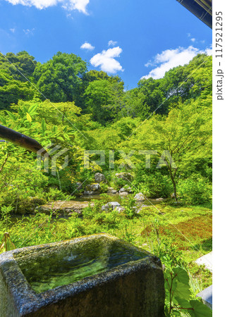 夏の京都岩倉　実相院　青紅葉に包まれた山水庭園 117521295