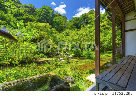 夏の京都岩倉　実相院　青紅葉に包まれた山水庭園 117521296