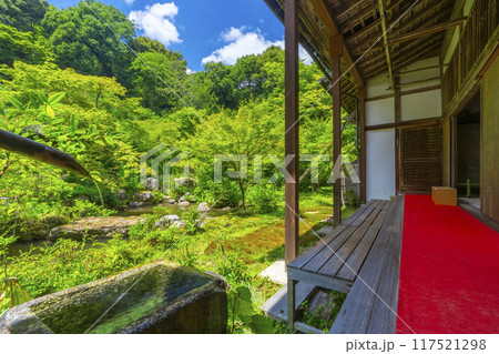 夏の京都岩倉　実相院　青紅葉に包まれた山水庭園 117521298