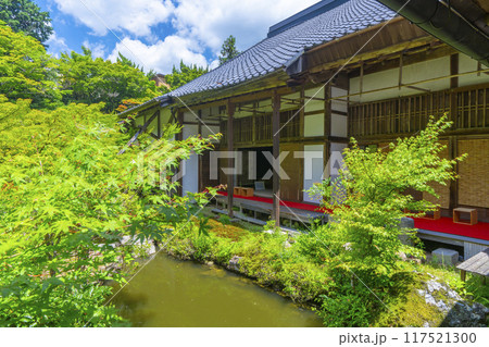 夏の京都岩倉　実相院　青紅葉に包まれた山水庭園 117521300