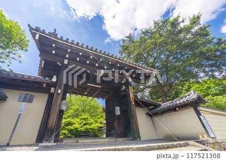夏の京都岩倉 実相院 青紅葉と山門 夏の京都岩倉 実相院 青紅葉と山門 117521308