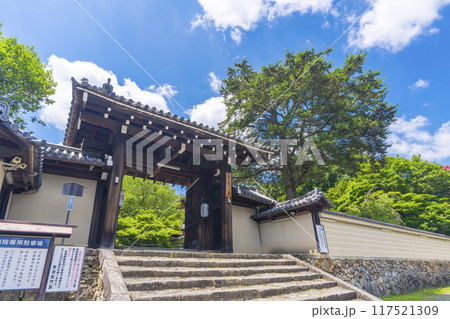 夏の京都岩倉 実相院 青紅葉と山門 夏の京都岩倉 実相院 青紅葉と山門 117521309