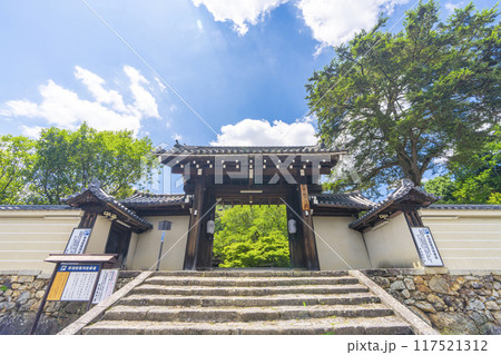 夏の京都岩倉　実相院　青紅葉と山門 117521312