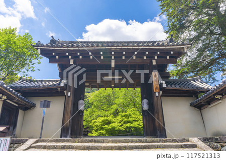 夏の京都岩倉　実相院　青紅葉と山門 117521313