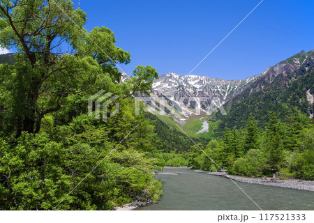 《さわやか上高地・初夏の絶景》新緑が美しい河童橋近くから望む穂高連峰 《さわやか上高地・初夏の絶景》新緑が美しい河童橋近くから望む穂高連峰 117521333