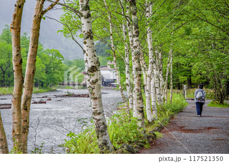 《さわやか上高地の朝》初夏の梓川沿いの遊歩道 《さわやか上高地の朝》初夏の梓川沿いの遊歩道 117521350