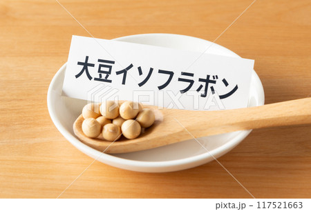 スプーンにのった大豆と大豆イソフラボンの文字 生豆 粒 豆類 スプーンにのった大豆と大豆イソフラボンの文字 生豆 粒 豆類 117521663