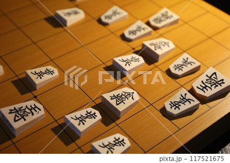 将棋の第65期王位戦第1局の投了棋譜 将棋の第65期王位戦第1局の投了棋譜 117521675