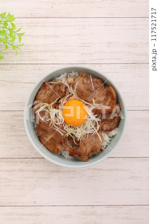 豚丼 豚丼 117521717