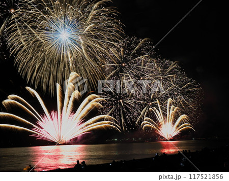 敦賀花火大会 敦賀花火大会 117521856