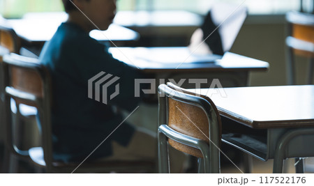 パソコン学習をする子供 117522176