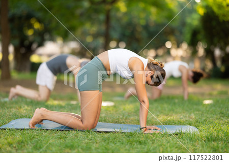 Young woman doing yoga in cat pose Young woman doing yoga in cat pose 117522801