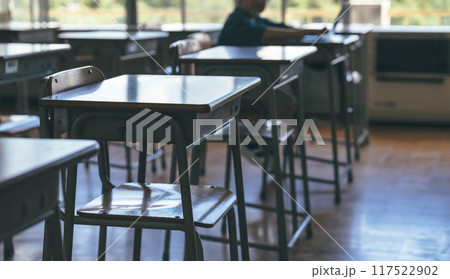 パソコン学習をする子供 パソコン学習をする子供 117522902