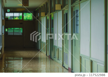学校の廊下 117522986