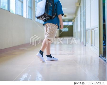 小学生 小学生 117522993