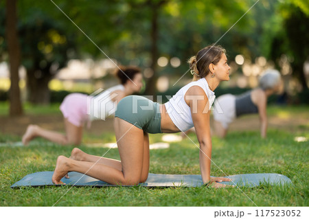 Skilled young female trainer performing cat-cow pose of yoga for group in green park at daytime 117523052