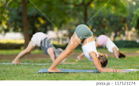 Girl doing stretching dolphin pose with group during yoga training in park Girl doing stretching dolphin pose with group during yoga training in park 117523274