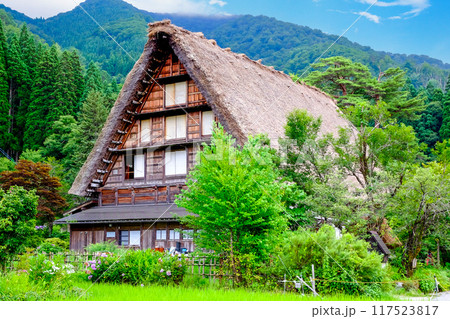 大きな合掌造りの民家 117523817