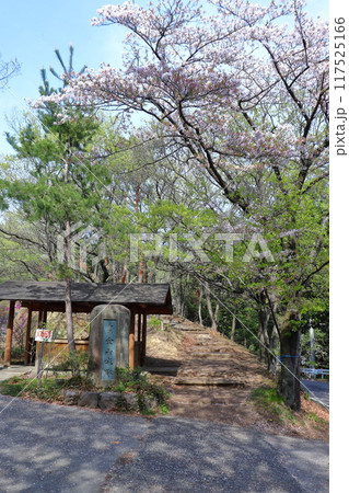 新田金山城跡 桜が咲く登山道入口（群馬県 太田市） 117525166