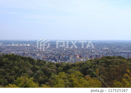 関東平野を見下ろす新田金山城の展望台風景(東武太田駅方面) 関東平野を見下ろす新田金山城の展望台風景(東武太田駅方面) 117525167
