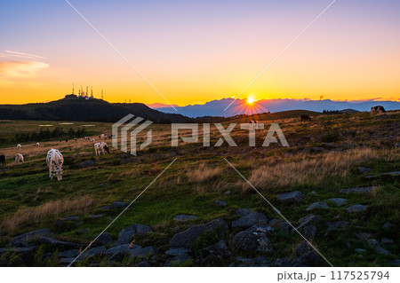 美ヶ原・夕景 117525794