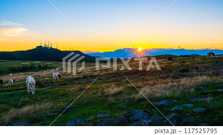 美ヶ原・夕景 美ヶ原・夕景 117525795
