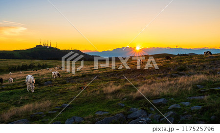 美ヶ原・夕景 美ヶ原・夕景 117525796