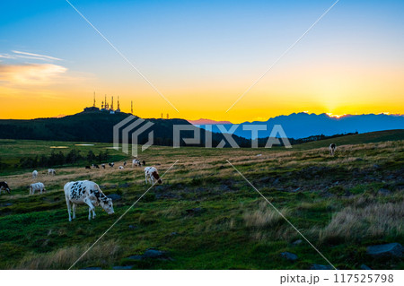 美ヶ原・夕景 美ヶ原・夕景 117525798