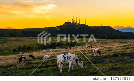 美ヶ原・夕景 117525818