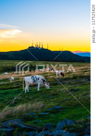 美ヶ原・夕景 美ヶ原・夕景 117525820