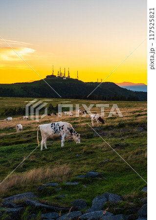 美ヶ原・夕景 美ヶ原・夕景 117525821