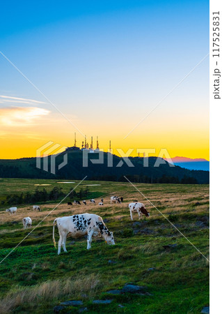 美ヶ原・夕景 美ヶ原・夕景 117525831