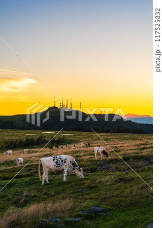 美ヶ原・夕景 美ヶ原・夕景 117525832